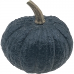 Weitere Cucurbita